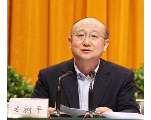 �l(f��)�]���H��(bi��o)��(zh��n)���� ���M(j��n)���绥(li��n)��ͨ ֧��ƽ ���M(j��n)�i ��ľ� ��Ⱥ�ȑ�(y��ng)���ڵ�39��ISO���(hu��) ...