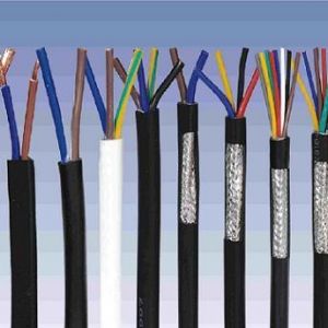 ������|����|���N��е�һ�N��ʲô�ǿ�����|��